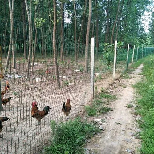 養殖護欄網